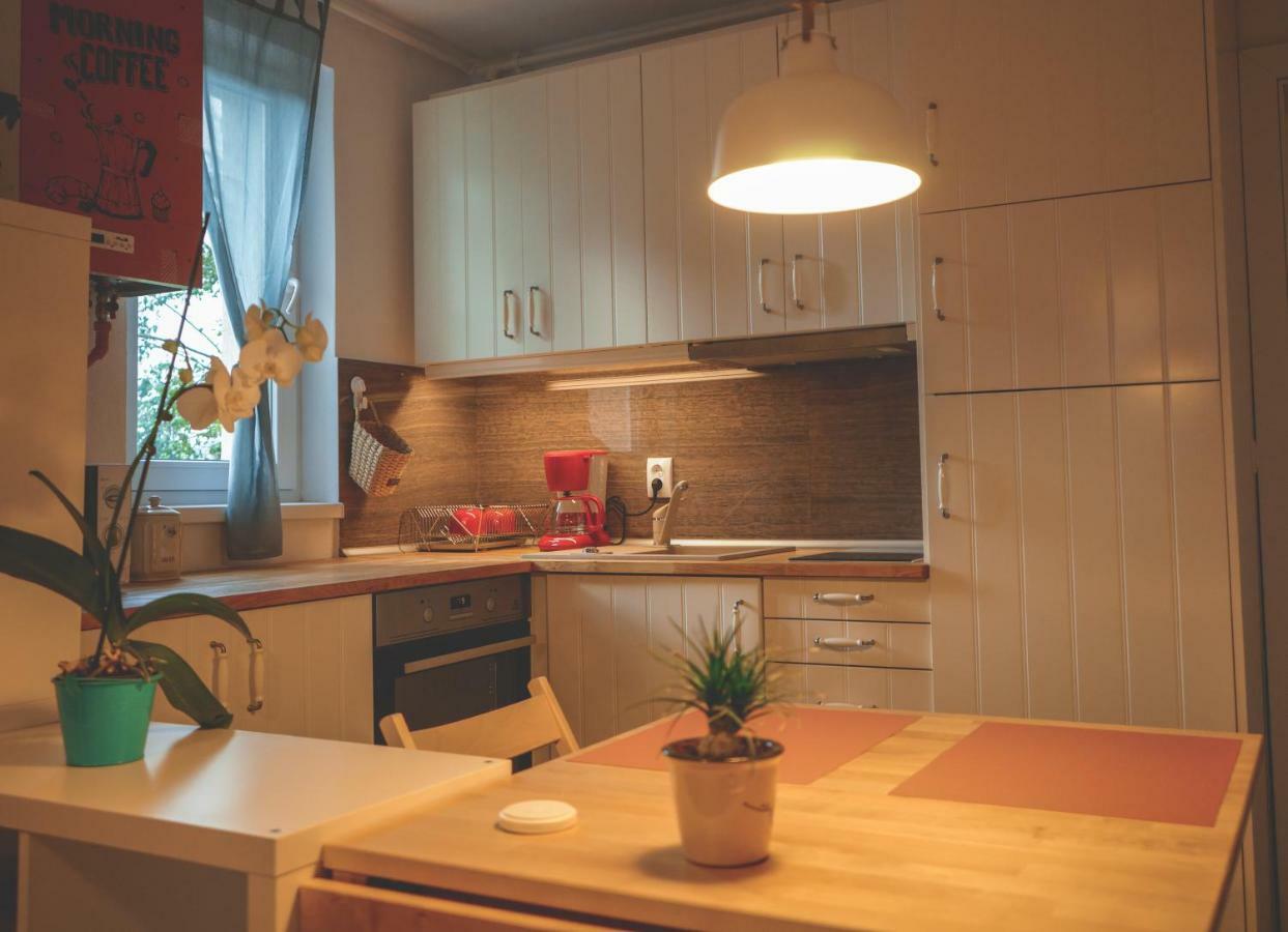 Comfy Apartment Сигишоара Экстерьер фото