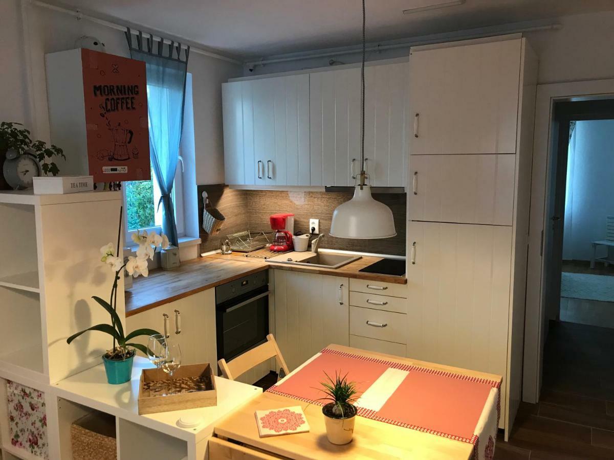 Comfy Apartment Сигишоара Экстерьер фото